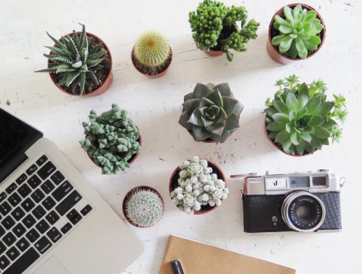 How To Plan Your Blog Content