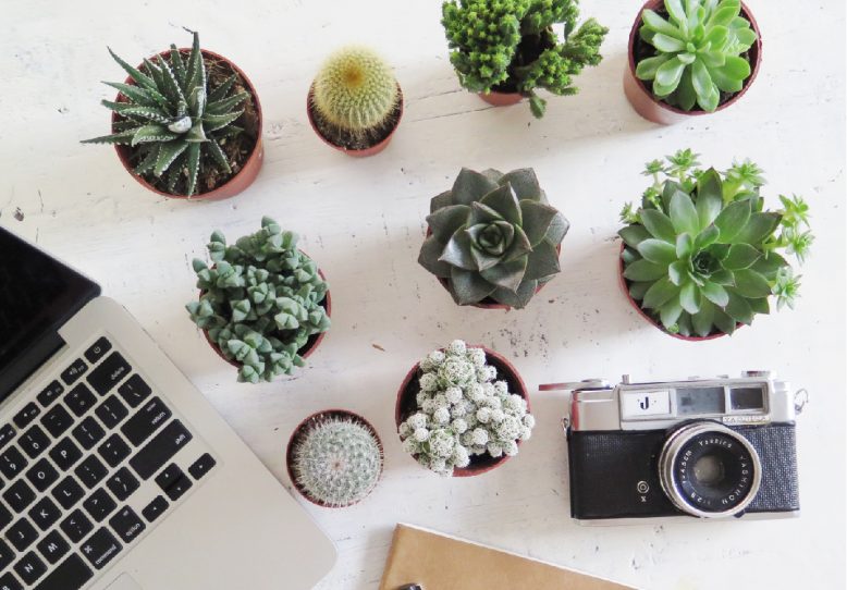 How To Plan Your Blog Content