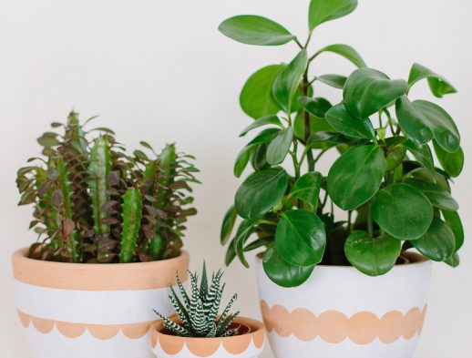 DIY Scalloped Painted Pots