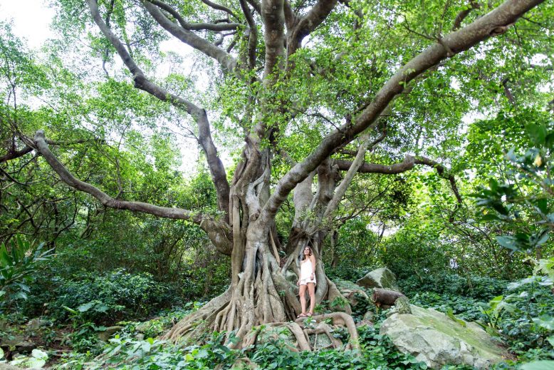 How to pack 5,4,3,2,1 guide