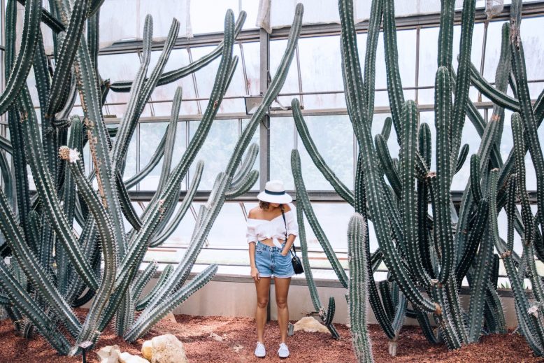 DIY off the shoulder shirt less than minute DIY off the shoulder shirt less than minute