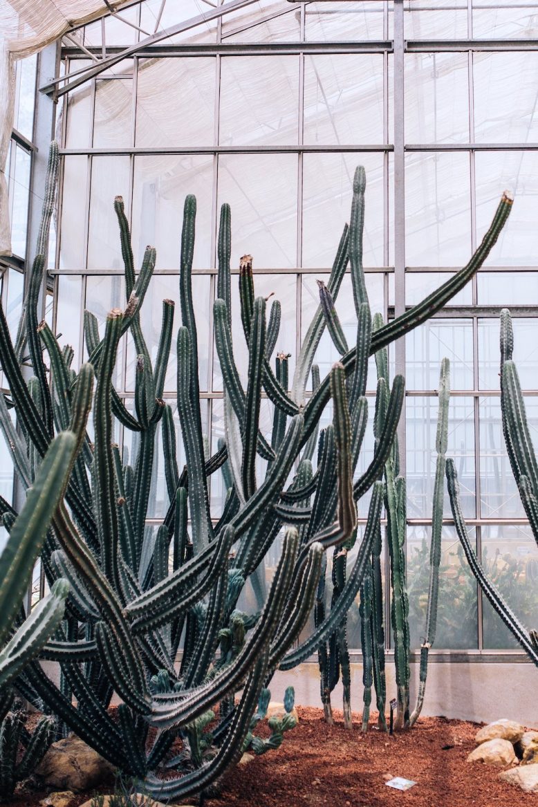 DIY off the shoulder shirt DIY off the shoulder shirt