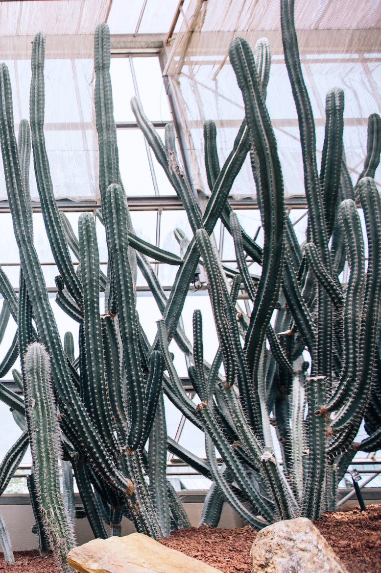 DIY off the shoulder shirt DIY off the shoulder shirt