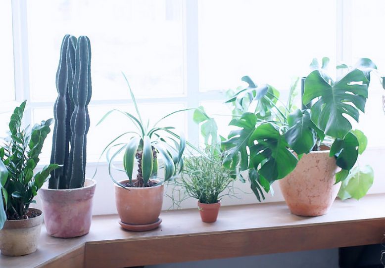 Our Studio Refresh!