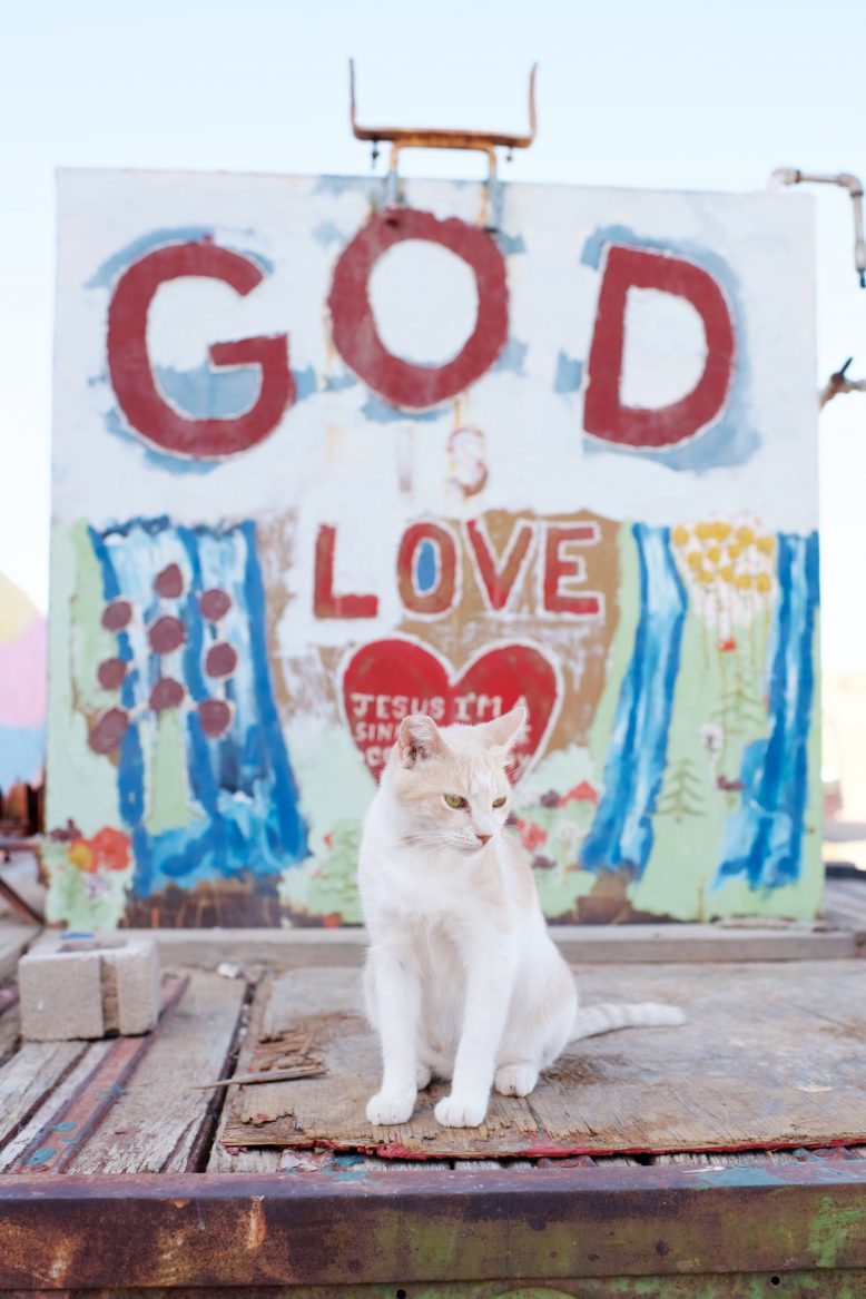 Palm Springs Travel Guide