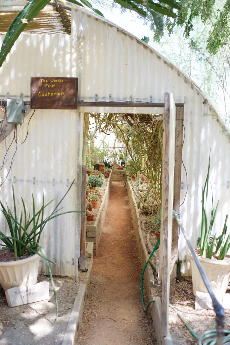 Palm Springs Travel Guide