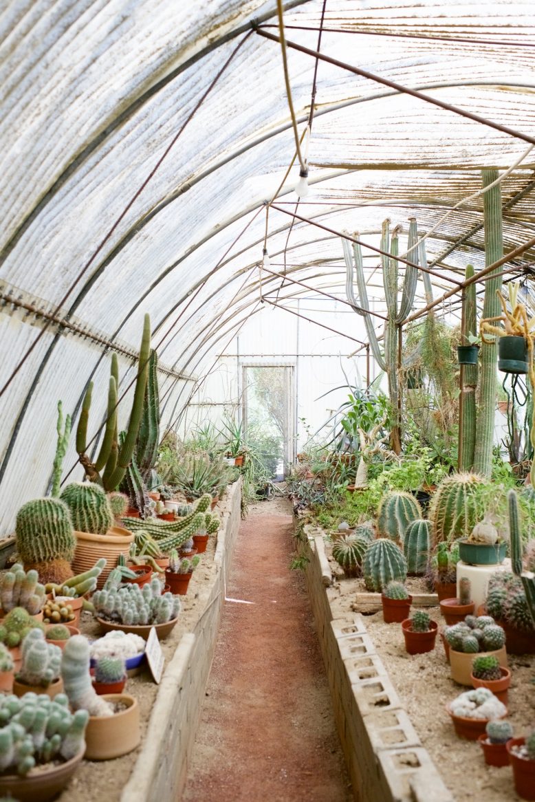 Palm Springs Travel Guide