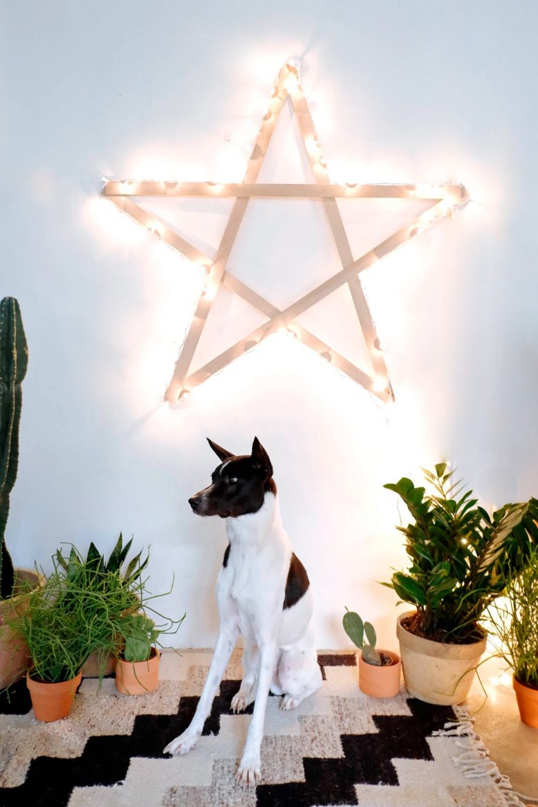 DIY Giant String Light Star
