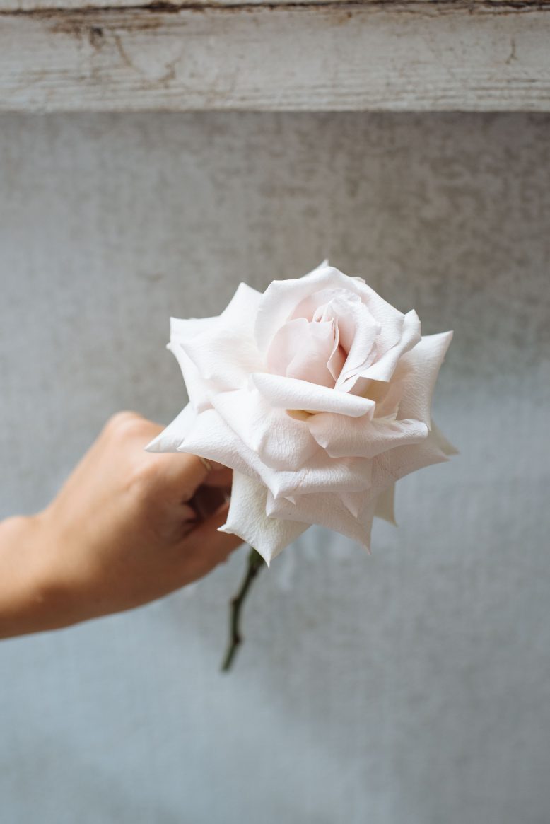 Floral Art With The Boutierre Girls