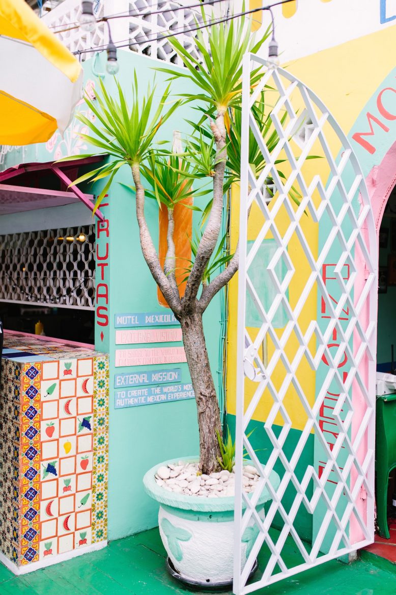 Seminyak Travel Guide