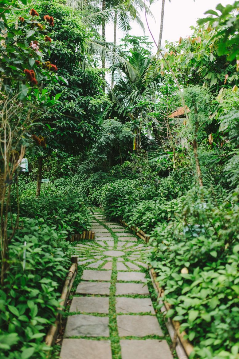 Indigo Dyeing in Bali