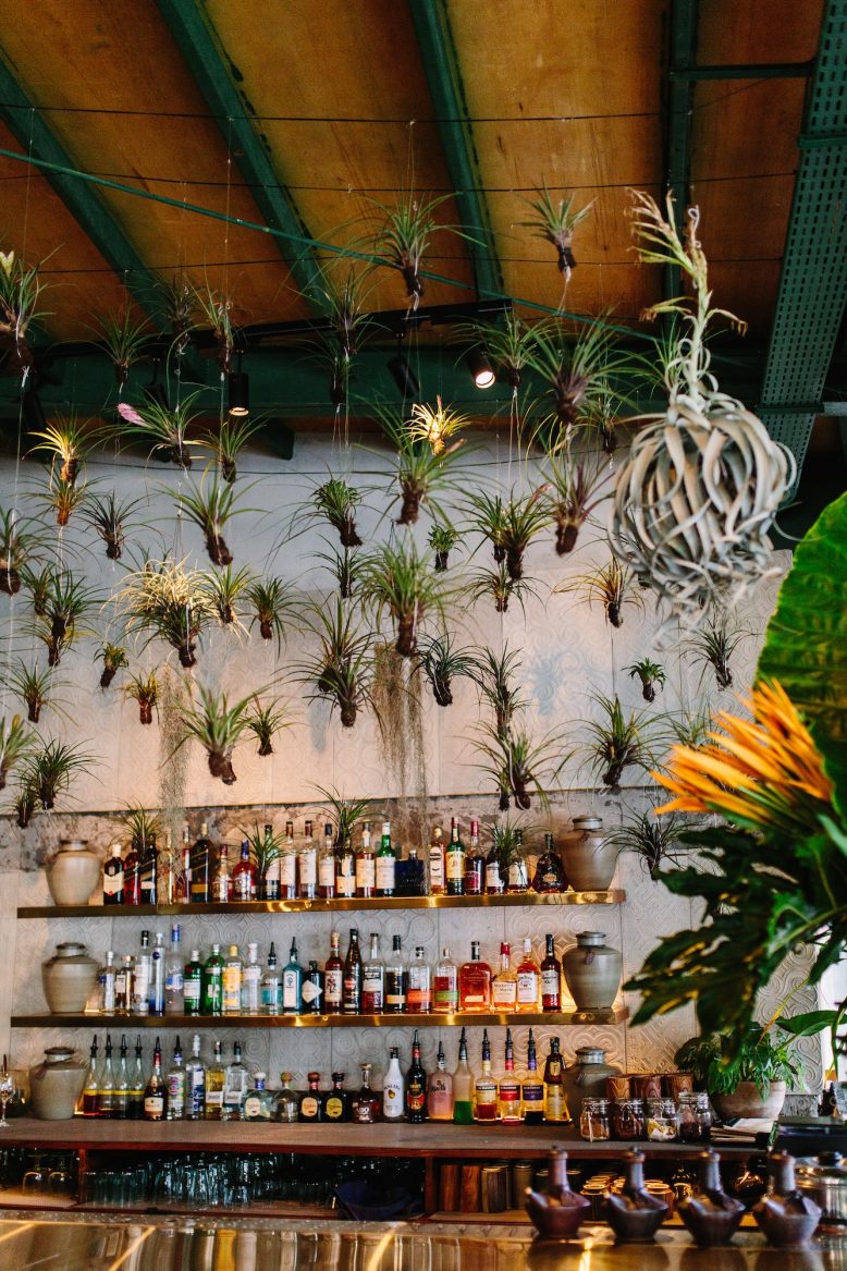 Seminyak Travel Guide