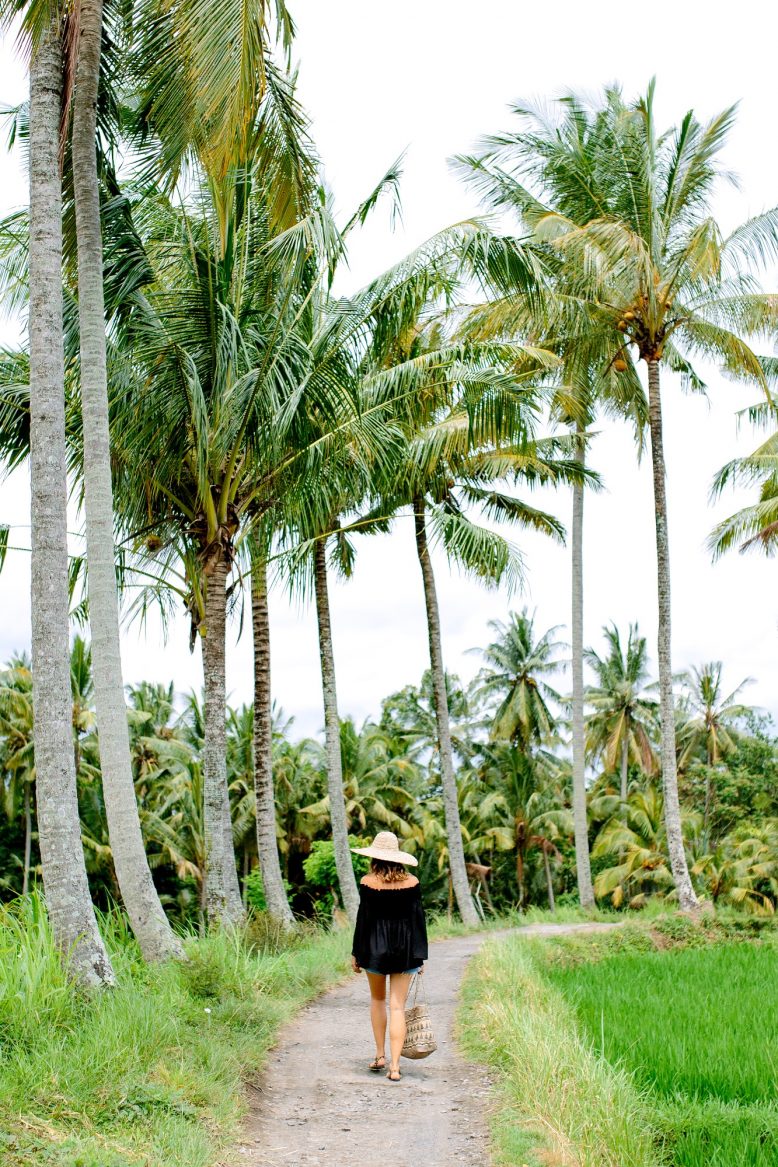 Ubud Travel Guide