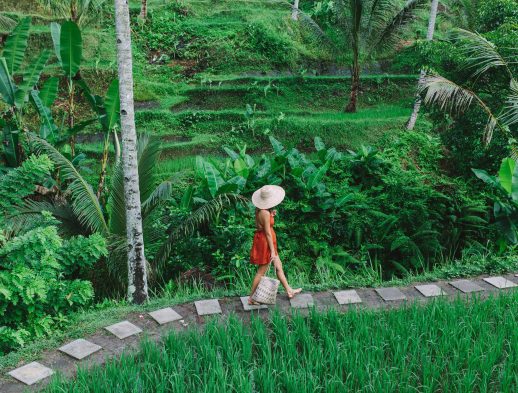 Ubud Travel Guide