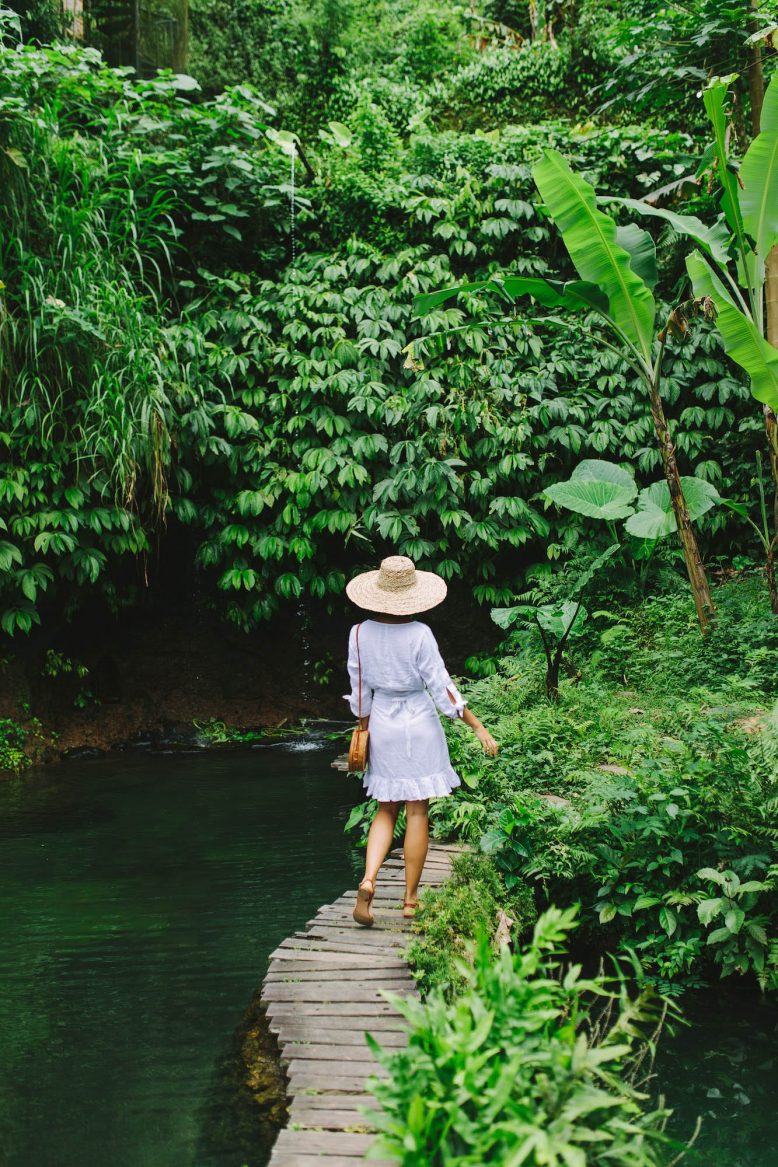 Ubud Travel Guide