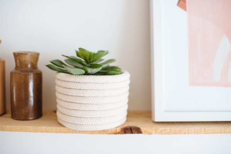 DIY Rope Planter