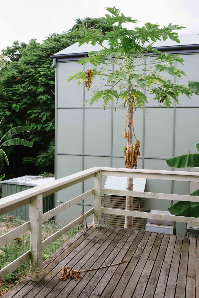 We Bought A House We Bought A House