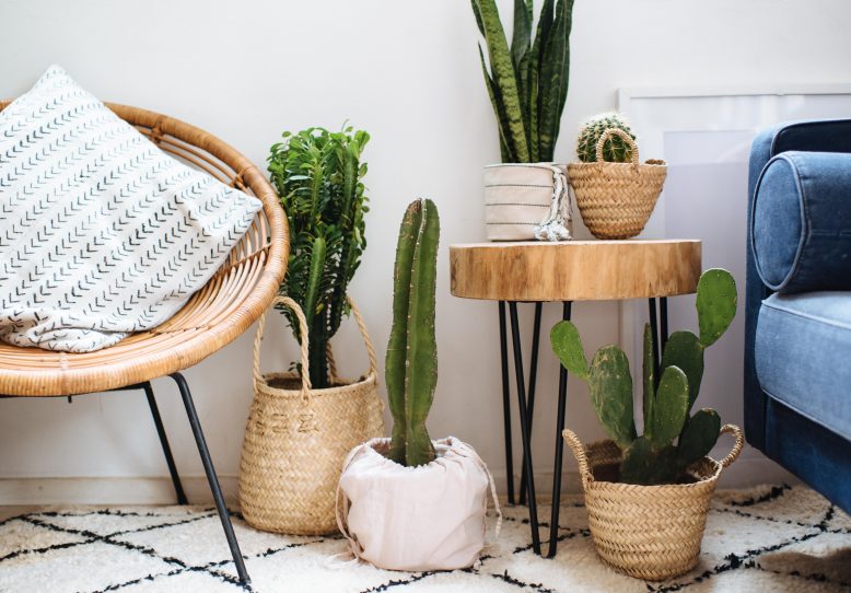 3 Easy Planter Ideas