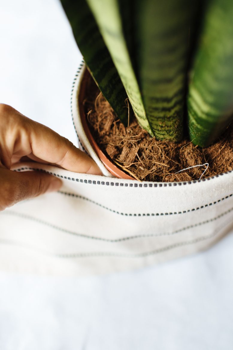 3 Easy Planter Ideas