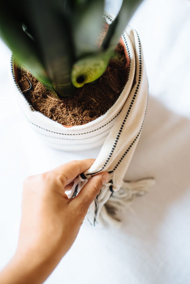 3 Easy Planter Ideas