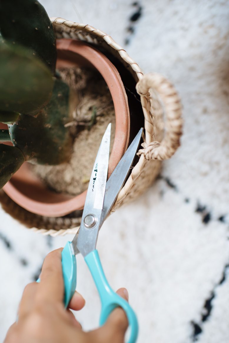 3 Easy Planter Ideas