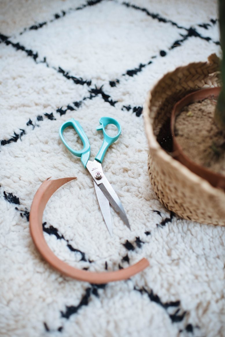 3 Easy Planter Ideas