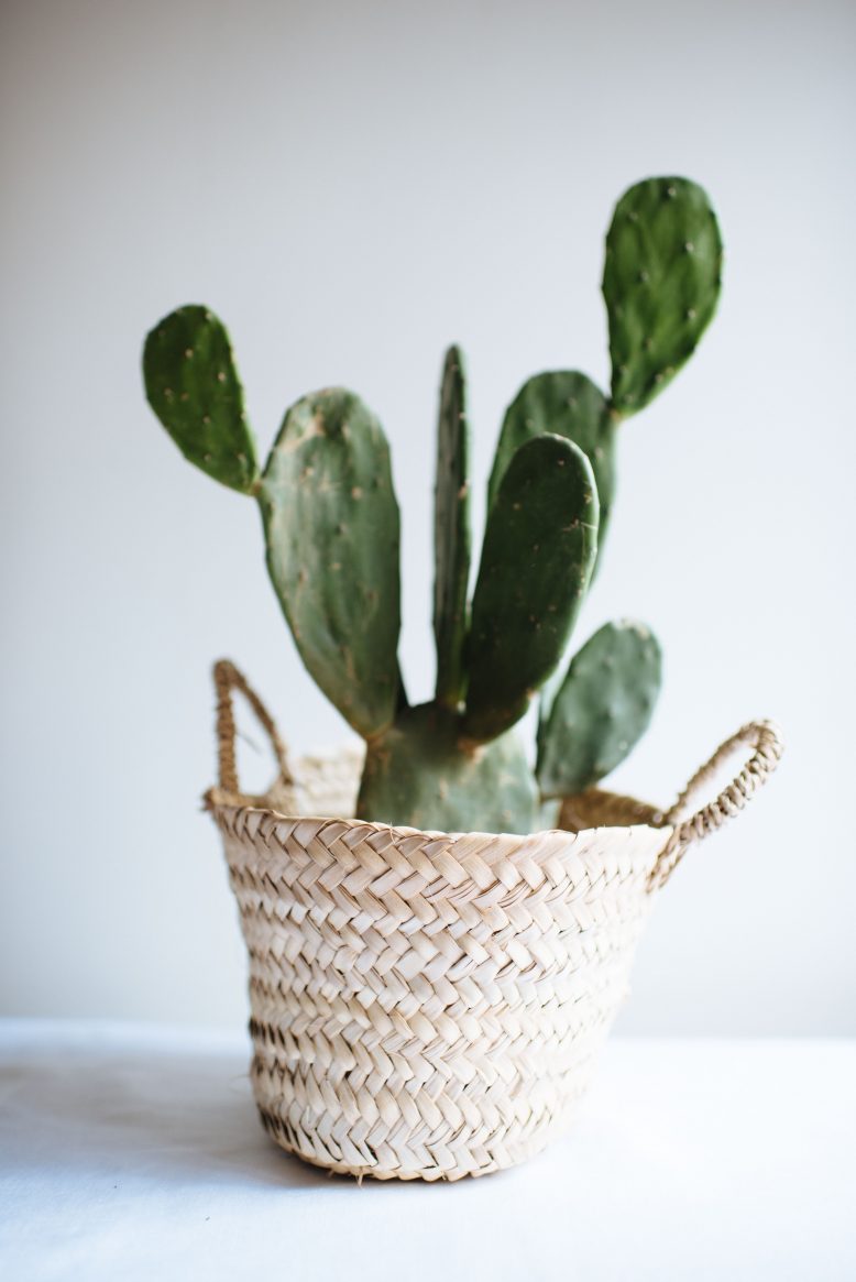 3 Easy Planter Ideas