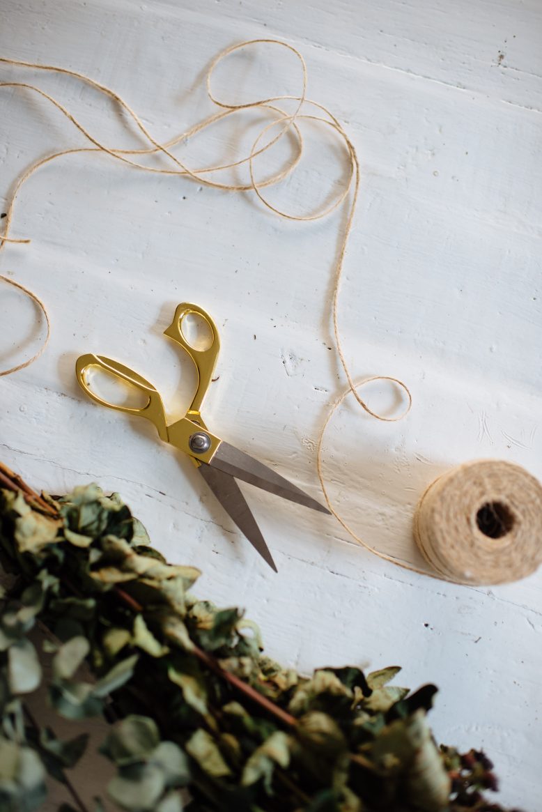 Dry Flowers Dry Flowers