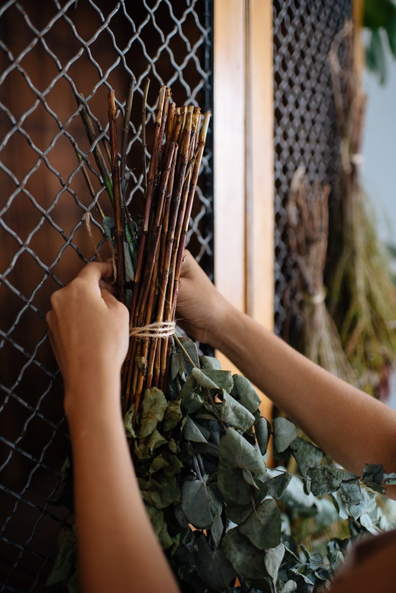 Dry Flowers Dry Flowers