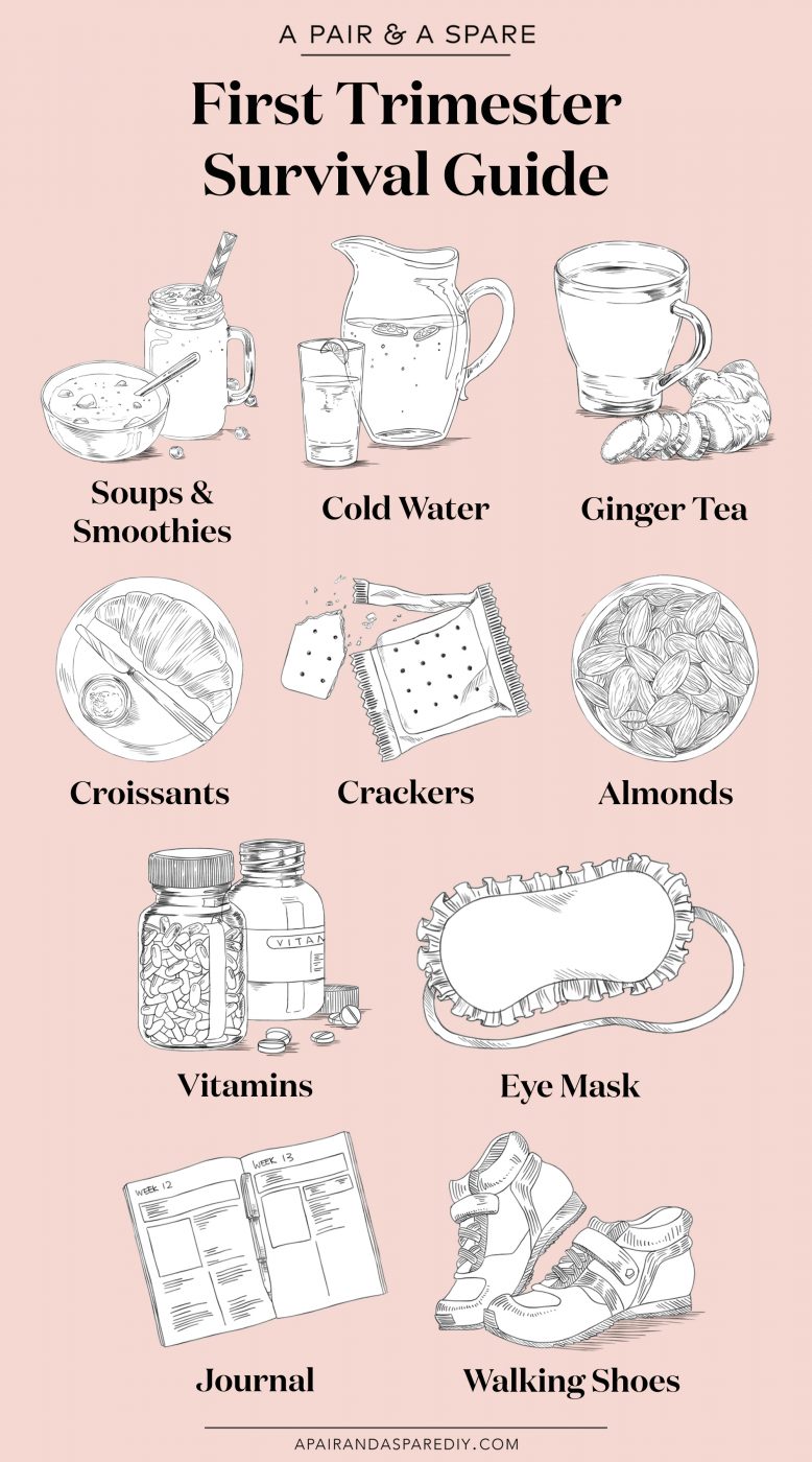 First Trimester Survial Guide