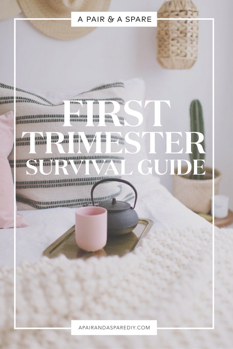 first-trimester-survival-guide