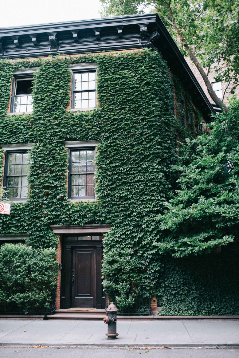 New York Guide: The High Line, Meatpacking & Greenwich Village