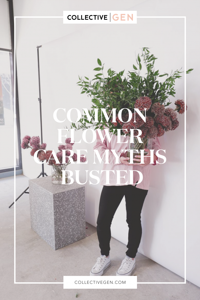 Common Flower Care Myths Busted
