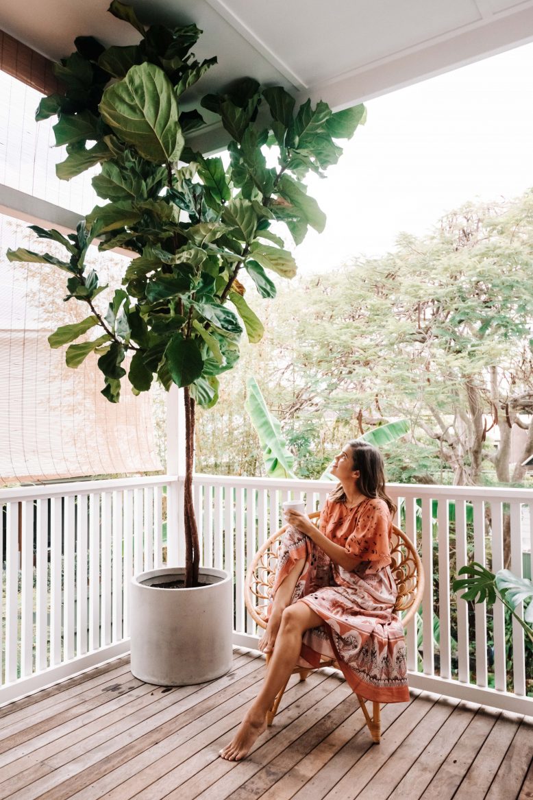 Fiddle Leaf Fig Guide (3 of 4)