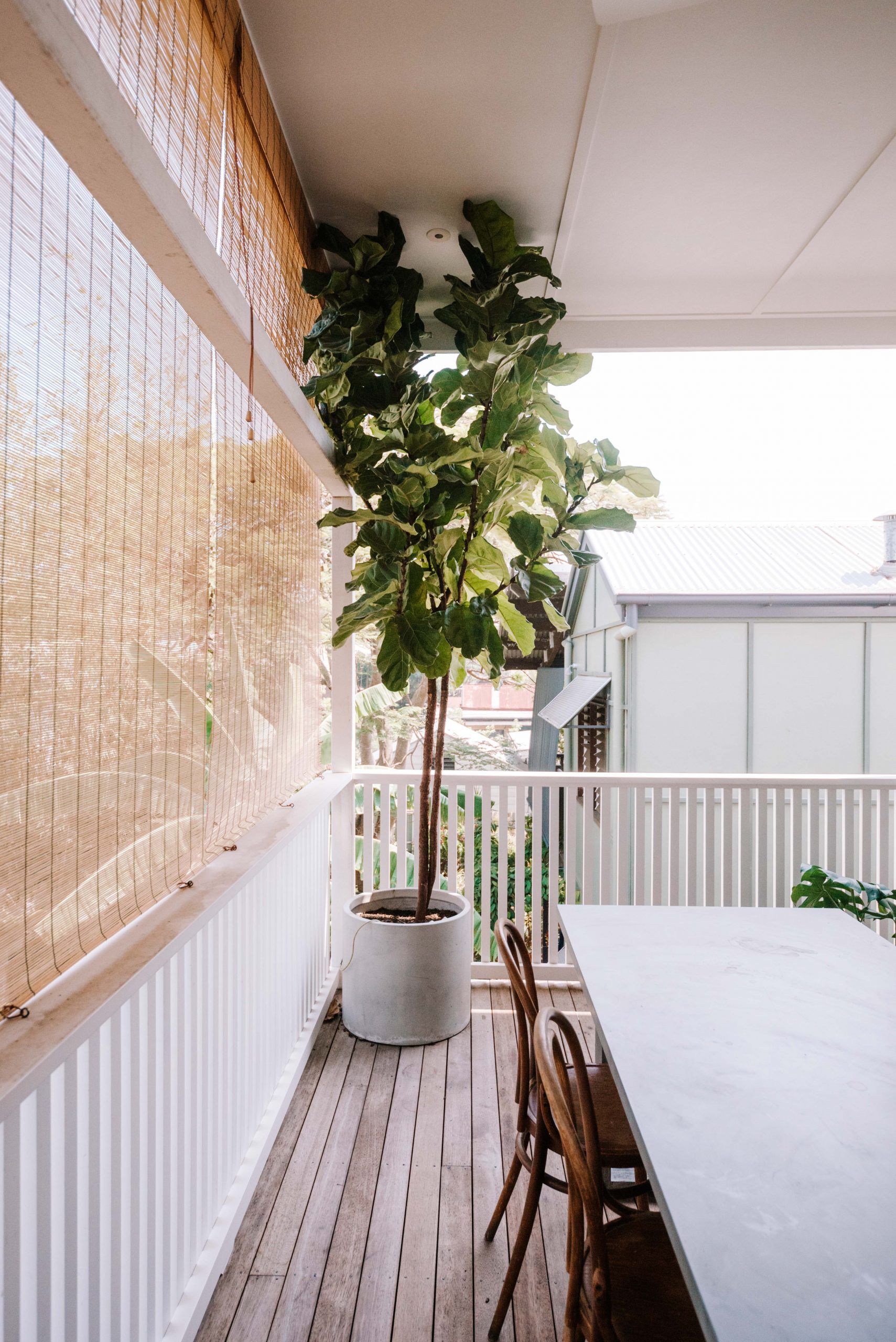 All About Our Back Deck Pop Out Window Panels