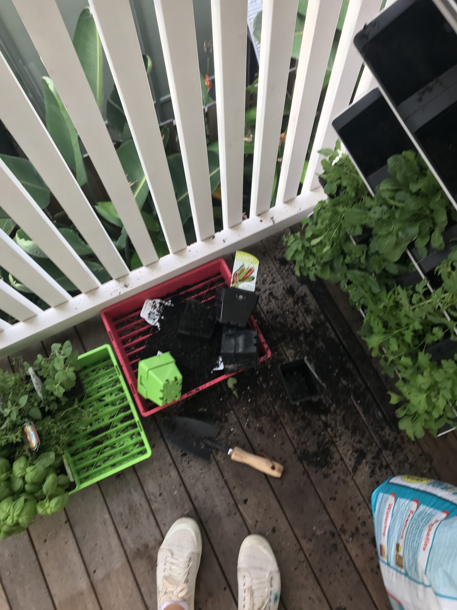 Setting Up A Vertical Herb Garden