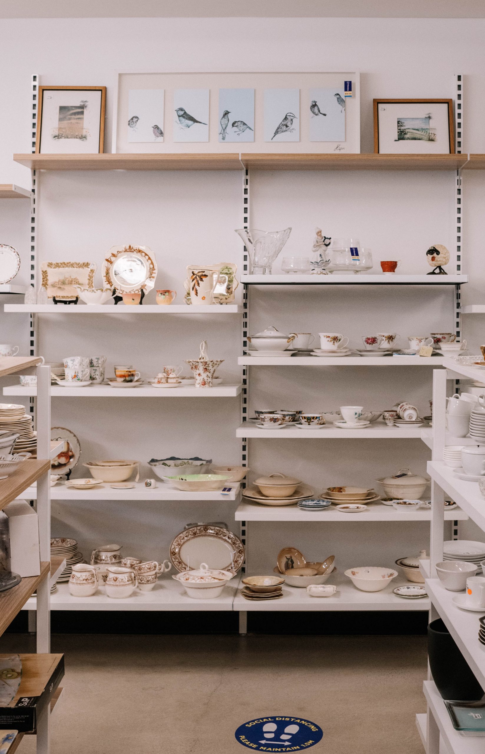 My Thrifting Road Trip!