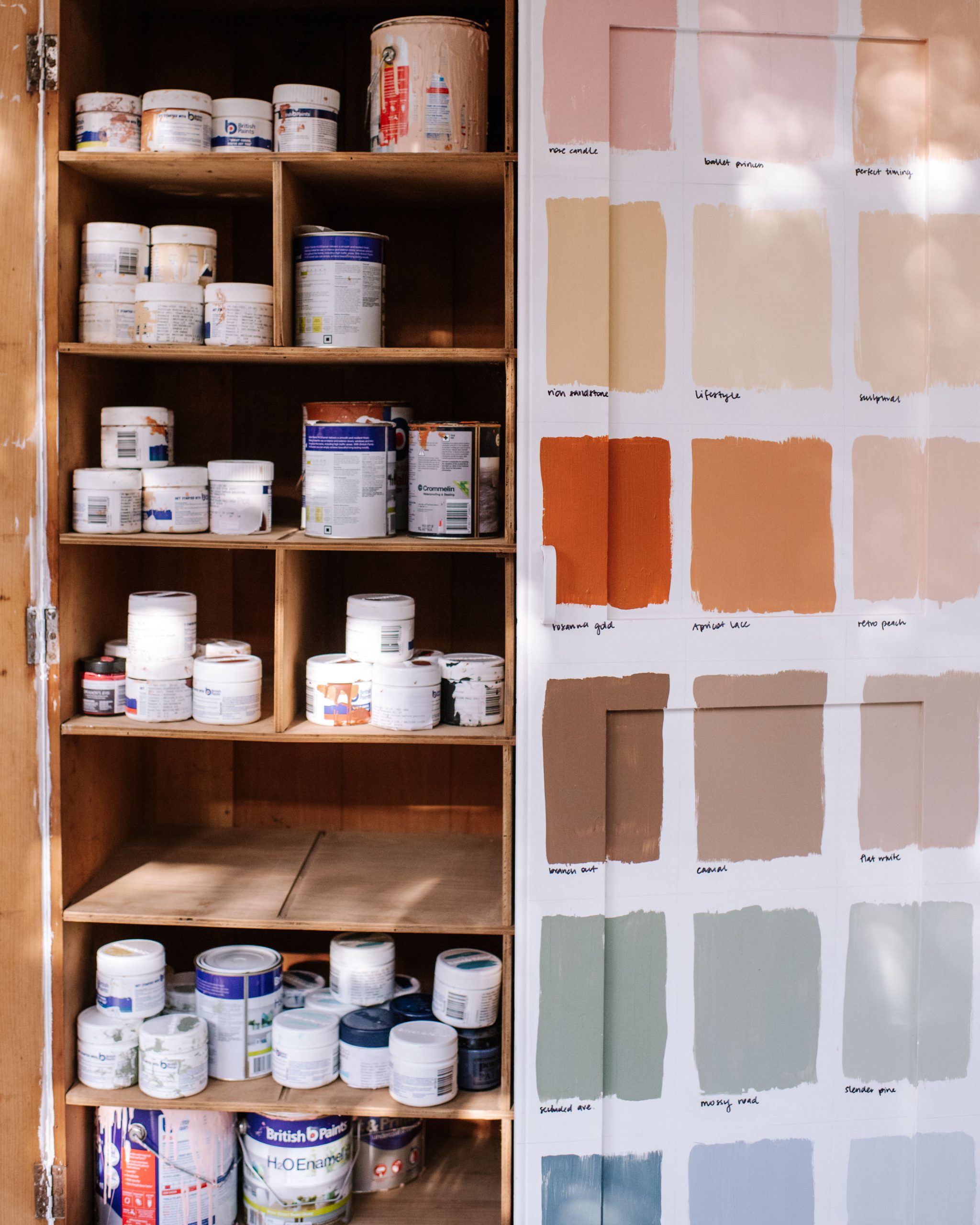 Before & After: The Paint Storage Cabinet!